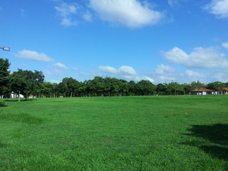 20150823_082404.jpg